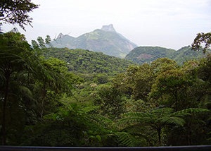 Parque Nacional da Tijuca